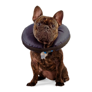 Well & Good Prostyle Collar de Recuperación con Relleno Suave para Perro, Chico/Mediano