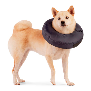 Well & Good Prostyle Collar de Recuperación con Relleno Suave para Perro, Mediano/Grande