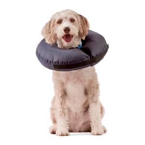 Well & Good Prostyle Collar de Recuperación con Relleno Suave para Perro, Grande/X-Grande
