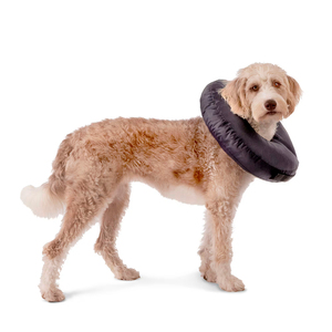 Well & Good Prostyle Collar de Recuperación con Relleno Suave para Perro, Grande/X-Grande