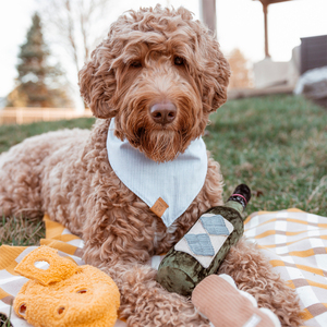 Lambwolf Merlot Peluche Rompecabezas Diseño Botella de Vino para Perro, Grande