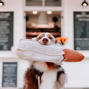 Lambwolf Peluche Rompecabezas Diseño Baguette Gigante para Perro, Mediano