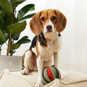 Lambwolf Watermelon POP Peluche con Pelota Interior Diseño Sandía para Perro, Mediano