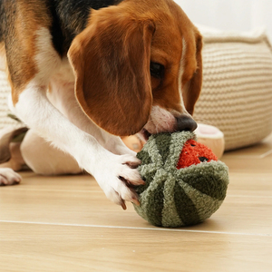 Lambwolf Watermelon POP Peluche con Pelota Interior Diseño Sandía para Perro, Mediano