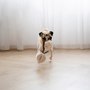Lambwolf MOMO Peluche Interactivo Diseño Duraznos para Perro, Mediano