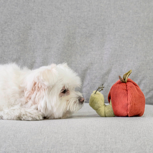 Lambwolf Apple Peluche Rompecabezas Diseño Manzana para Perro, Mediano