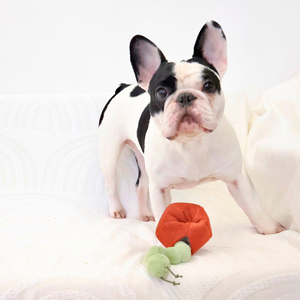 Lambwolf Apple Peluche Rompecabezas Diseño Manzana para Perro, Mediano