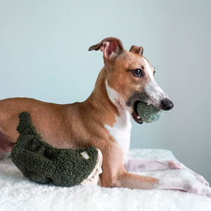 Lambwolf Guu Peluche Rompecabezas Diseño Hongo para Perro, Chico