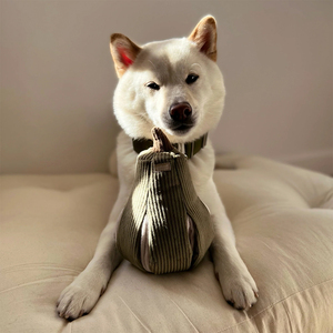 Lambwolf Butternut Peluche Rompecabezas Diseño Calabaza para Perro, Grande