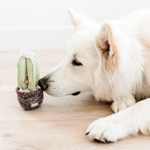 Lambwolf Peluche Rompecabezas Diseño Cactus para Perro, Mediano