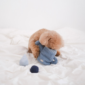 Lambwolf Watering Can Peluche Rompecabezas Diseño Regadera para Perro, Mediano
