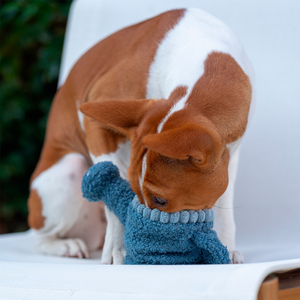 Lambwolf Watering Can Peluche Rompecabezas Diseño Regadera para Perro, Mediano
