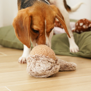 Lambwolf Squirrel Pop Peluche Rompecabezas con Pelota Interior Diseño Ardilla para Perro, Mediano