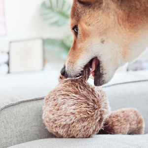 Lambwolf Squirrel Pop Peluche Rompecabezas con Pelota Interior Diseño Ardilla para Perro, Mediano