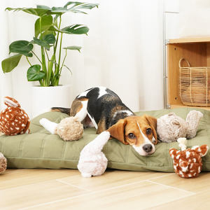 Lambwolf Bunny Pop Peluche Rompecabezas con Pelota Interna Diseño Conejo para Perro, Chico