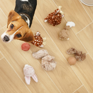 Lambwolf Bunny Pop Peluche Rompecabezas con Pelota Interna Diseño Conejo para Perro, Chico