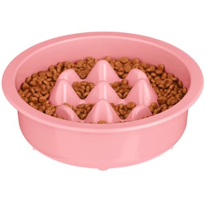 Neater Pet Brands Tazón Slow Feeder Modelo Niner Color Rosa para Perro, 1 Pieza Neater Pet Brands Tazón Slow Feeder Modelo Niner Color Rosa para Perro, 1 Pieza