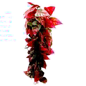 Penn Plax Decoración Plantas Verdes/Rojas para Reptil, 30 cm Penn Plax Decoración Plantas Verdes/Rojas para Reptil, 30 cm