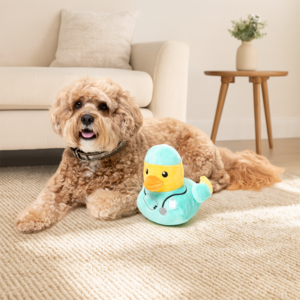 FuzzYard Ducks at Work Pato de Peluche Diseño Doctor para Perro, Mediano FuzzYard Ducks at Work Pato de Peluche Diseño Doctor para Perro, Mediano