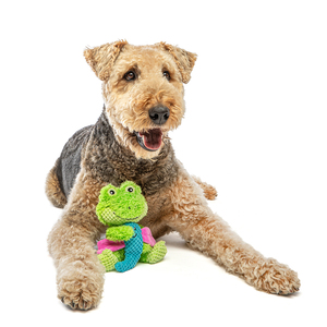 Guru Pet Loveys Peluche Resistente 2 en 1 Rana y Libélula para Perro, Mediano