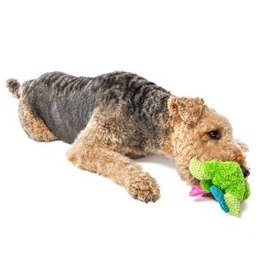 Guru Pet Loveys Peluche Resistente 2 en 1 Rana y Libélula para Perro, Mediano