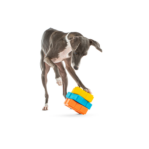 Guru Pet Juguete Dispensador de Premios Diseño Cubo Giratorio para Perro, Mediano