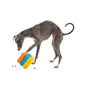Guru Pet Juguete Dispensador de Premios Diseño Cubo Giratorio para Perro, Mediano