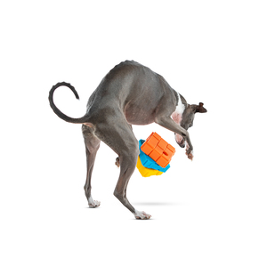 Guru Pet Juguete Dispensador de Premios Diseño Cubo Giratorio para Perro, Mediano