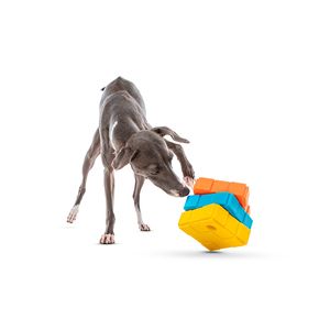 Guru Pet Juguete Dispensador de Premios Diseño Cubo Giratorio para Perro, Mediano