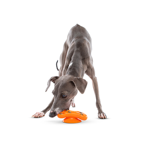 Guru Pet Licking Mat Diseño Hueso para Perro, Mediano