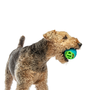 Guru Pet Pelota Dispensadora de Premios para Perro, Mediano