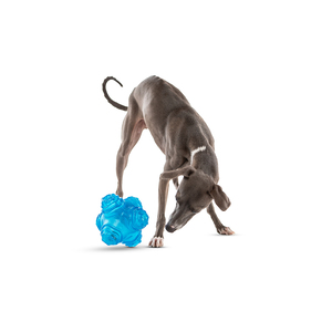 Guru Pet Puzzle Jack Juguete Dispensador de Premios para Perro, Mediano