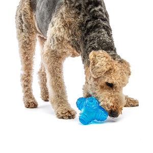 Guru Pet Puzzle Jack Juguete Dispensador de Premios para Perro, Mediano