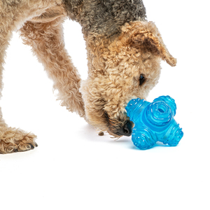 Guru Pet Puzzle Jack Juguete Dispensador de Premios para Perro, Mediano