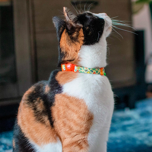 Safe Cat Collar con Broche de Seguridad Azul Diseño Bajo el Mar para Gato, 1 Pieza