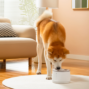 Dogness Smart D07 Fuente de Control Remoto por Aplicación para Perro y Gato, 1.8 L
