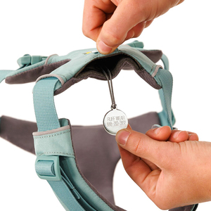 Ruffwear Front Range Arnés Híbrido de Ajuste Romano Color Aqua para Perro, Mediano