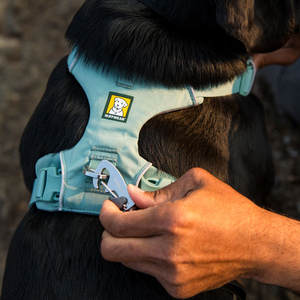 Ruffwear Front Range Arnés Híbrido de Ajuste Romano Color Aqua para Perro, Mediano