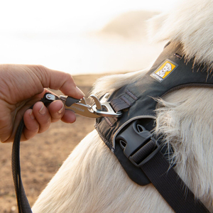 Ruffwear Front Range Arnés Híbrido de Ajuste Romano Color Negro para Perro, Mediano