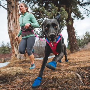 Ruffwear Hi & Light Arnés Híbrido de Ajuste Romano Diseño Ligero Color Rosa para Perro, Mediano