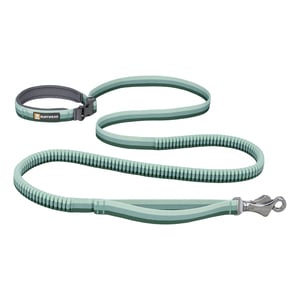 Ruffwear Roamer Leash Correa Manos Libres Tipo Bungee Color Aqua para Perro, Unitalla Ruffwear Roamer Leash Correa Manos Libres Tipo Bungee Color Aqua para Perro, Unitalla