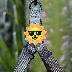 Jiby Charm para Personalizar Arnés Collar o Correa Diseño Sol con Gafas, 1 Pieza Jiby Charm para Personalizar Arnés Collar o Correa Diseño Sol con Gafas, 1 Pieza