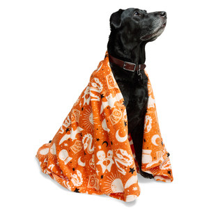 Bootique Halloween Cobija de Felpa Estampado de Hechizos para Perro, Unitalla Bootique Halloween Cobija de Felpa Estampado de Hechizos para Perro, Unitalla
