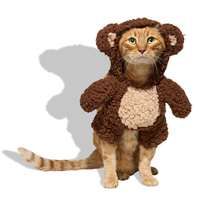 Bootique Halloween Disfraz Osito para Perro, Chico