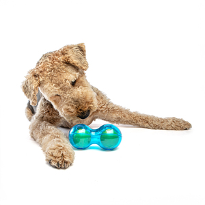 Guru Pet Pelota Dispensadora de Premios Diseño Doble para Perro, Mediano