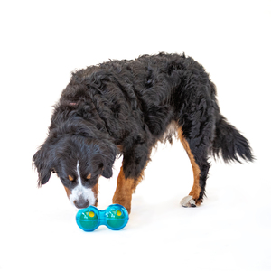 Guru Pet Pelota Dispensadora de Premios Diseño Doble para Perro, Mediano