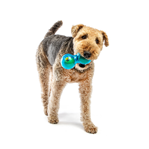 Guru Pet Pelota Dispensadora de Premios Diseño Doble para Perro, Mediano