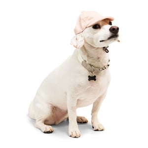 Reddy Fall Apparel Gorra Rosa de Mezclilla para Perro, X-Chico/Chico Reddy Fall Apparel Gorra Rosa de Mezclilla para Perro, X-Chico/Chico