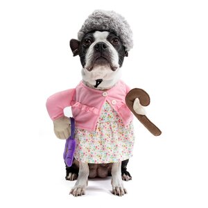 Bootique Halloween Disfraz Abuelita para Perro, Mediano