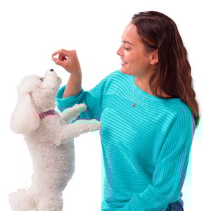 Apoquel Tabletas Masticables Antripruríticas de 3.6 mg para Perro Adulto Raza Pequeña, 20 Tabletas